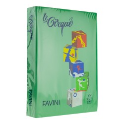Carton color 160G/MP A4 verde padure FAVINI 207