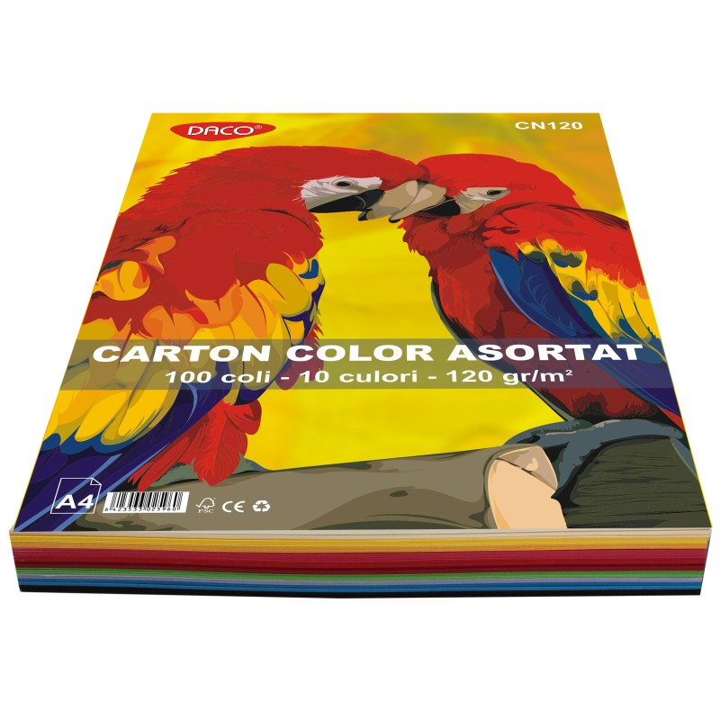 Carton color A4  100 coli  10 culori  DACO 120G/MP CN120
