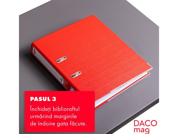 Custom dimensions 1436x1080 px - 2025-12-23T131557.685 Custom dimensions 1436x1080 px - 2025-12-23T131557.685