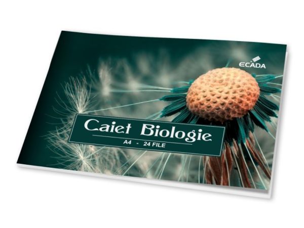 (COPY) (COPY) (COPY) (COPY) (COPY) (COPY) (COPY) Custom dimensions 1436x1080 px - 2026-03-23T144251.741 (COPY) (COPY) (COPY) (COPY) (COPY) (COPY) (COPY) Custom dimensions 1436x1080 px - 2026-03-23T144251.741