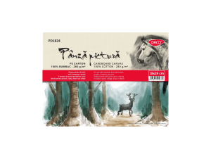 Pânză pictură pe carton 18x24 cm DACO