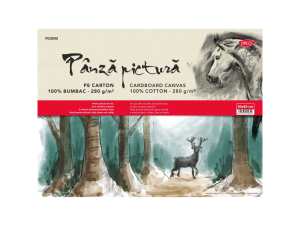 Pânză pictură pe carton 30x40 cm DACO