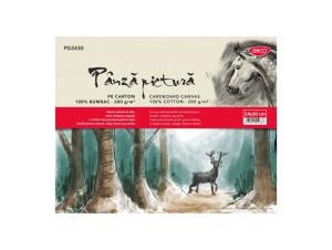 Pânză pictură pe carton 24x30 cm DACO