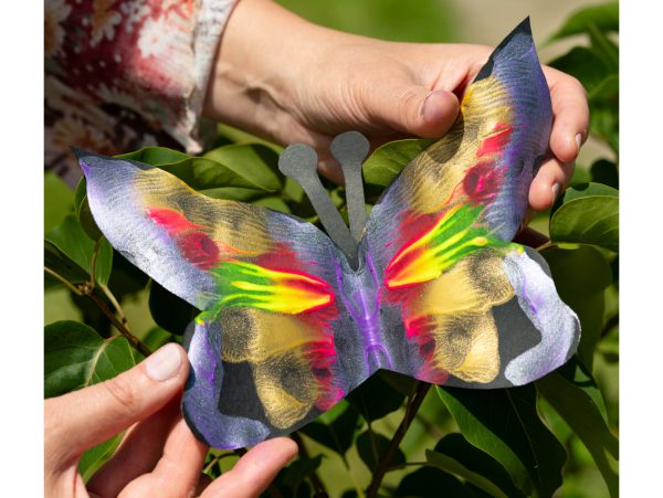 (COPY) (COPY) (COPY) (COPY) (COPY) (COPY) (COPY) Custom dimensions 1436x1080 px - 2026-03-05T130511.756 (COPY) (COPY) (COPY) (COPY) (COPY) (COPY) (COPY) Custom dimensions 1436x1080 px - 2026-03-05T130511.756