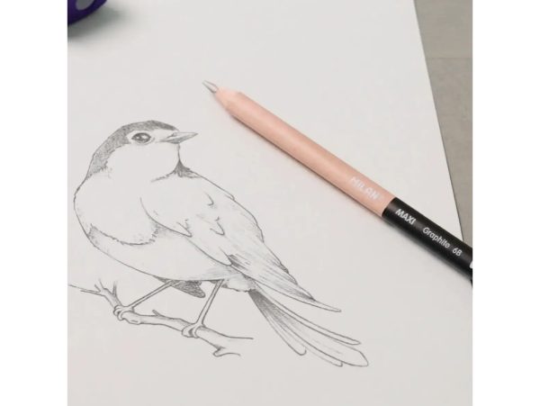 (COPY) (COPY) (COPY) (COPY) (COPY) (COPY) (COPY) Custom dimensions 1436x1080 px - 2026-03-23T130019.788 (COPY) (COPY) (COPY) (COPY) (COPY) (COPY) (COPY) Custom dimensions 1436x1080 px - 2026-03-23T130019.788