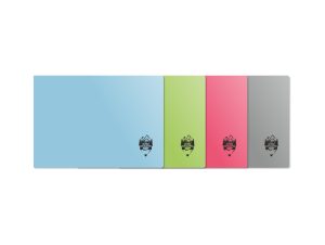 Caiet geografie 17x24 24 file copertă plastic DACO