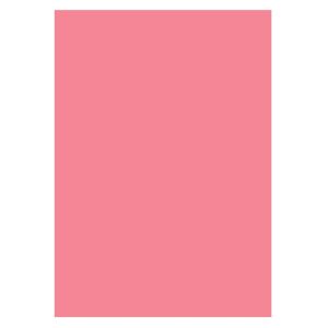 Copertă îndosariere PVC Set 100 Roz ECADA