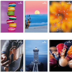 Caiet A5 80 file spiră Română ECADA