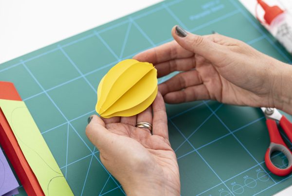 13505-scaled 13505-scaled