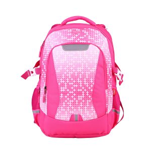 Ghiozdan GH4010 DACO 41 cm - Școlari