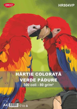 Hârtie colorată 80g/mp A4 Verde pădure DACO HR804VP