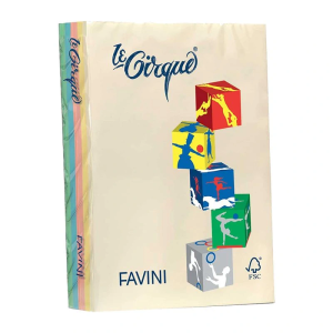 Hârtie colorată 80 g/mp A4 asortată 5 culori Pastel FAVINI