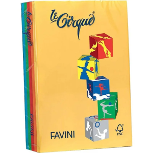 Hârtie colorată 80 g/mp A4 asortată 5 culori intense FAVINI