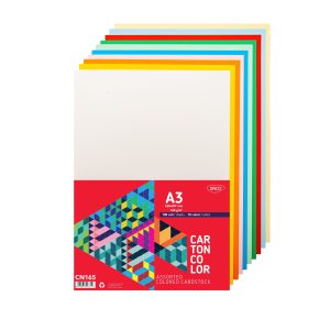 Carton color CN165 160 g/mp A3 100 coli 10 culori DACO