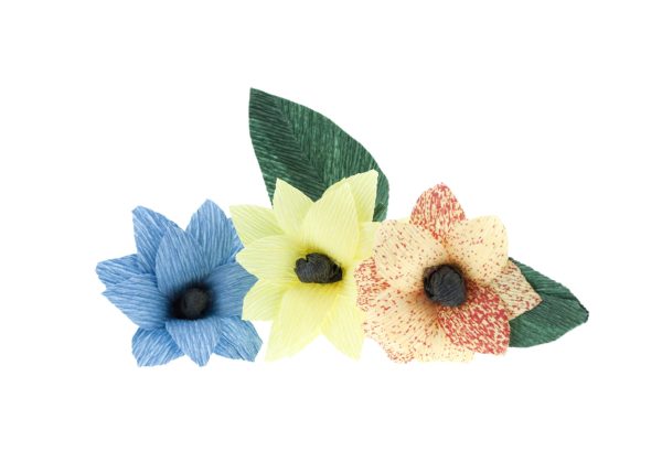 5204-scaled 5204-scaled