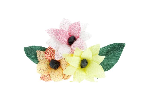 5206-scaled 5206-scaled