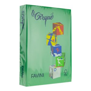 Carton color A4 Verde pădure 207 FAVINI 160 g/mp