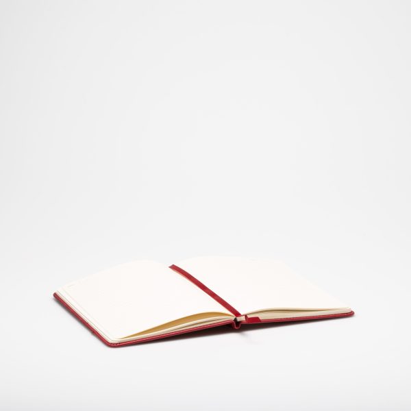 9785-scaled 9785-scaled