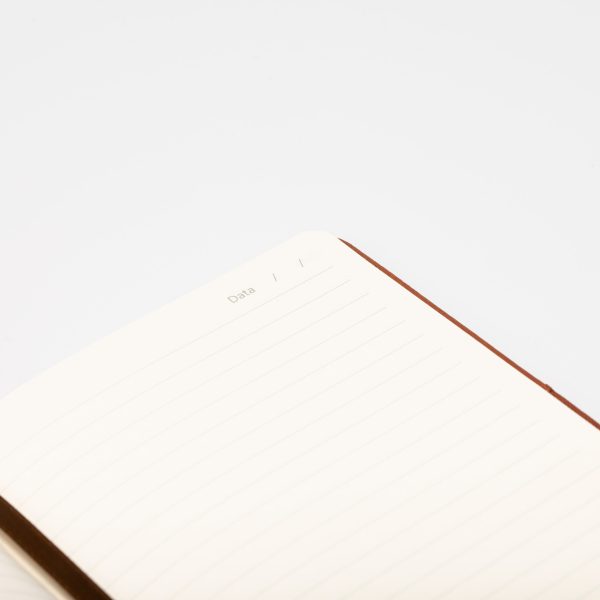 9810-scaled 9810-scaled