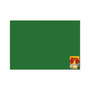 Carton color Verde închis 270 g/mp 70 x 100 cm 10 coli DACO CN271VI