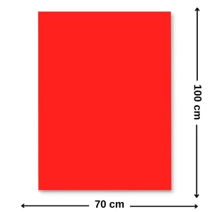 Carton color 220 g/mp 70 x 100 cm 10 coli Roșu FAVINI