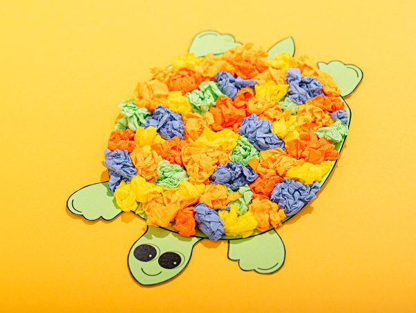 Testoasa Lilo Testoasa Lilo