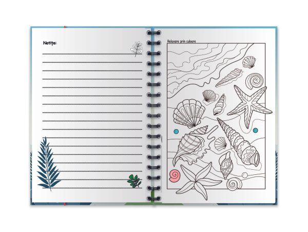 Custom dimensions 1436x1080 px (3) Custom dimensions 1436x1080 px (3)