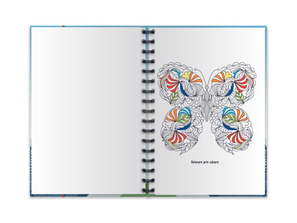 Custom dimensions 1436x1080 px (4) Custom dimensions 1436x1080 px (4)