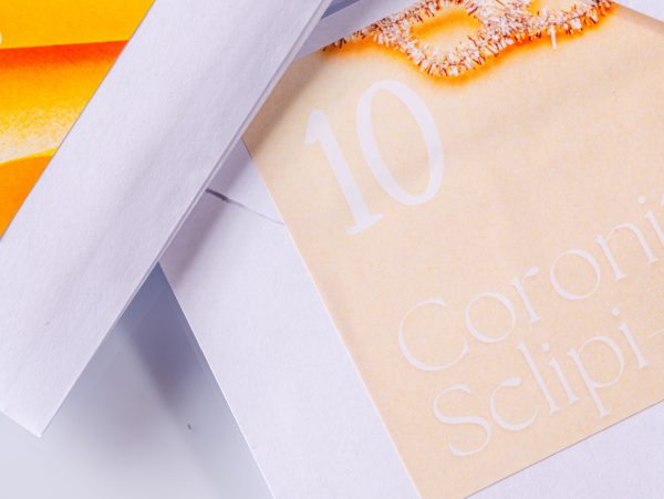 (COPY) (COPY) (COPY) (COPY) (COPY) (COPY) (COPY) (COPY) Custom dimensions 1436x1080 px - 2025-10-21T095907.609 (COPY) (COPY) (COPY) (COPY) (COPY) (COPY) (COPY) (COPY) Custom dimensions 1436x1080 px - 2025-10-21T095907.609