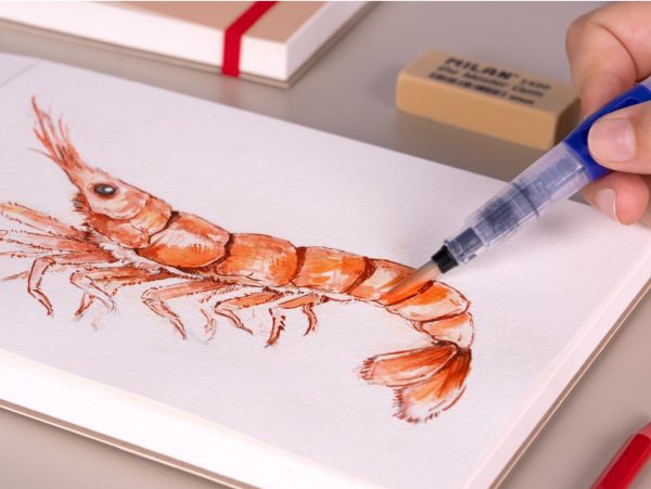 (COPY) (COPY) (COPY) (COPY) (COPY) (COPY) (COPY) Custom dimensions 1436x1080 px (1) (COPY) (COPY) (COPY) (COPY) (COPY) (COPY) (COPY) Custom dimensions 1436x1080 px (1)