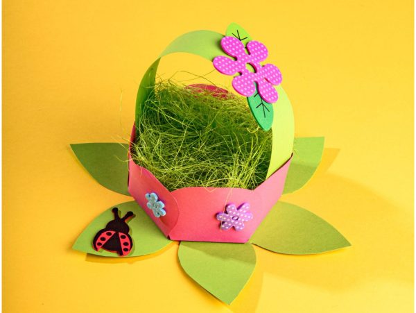 (COPY) (COPY) (COPY) (COPY) (COPY) (COPY) (COPY) Custom dimensions 1436x1080 px (68) (COPY) (COPY) (COPY) (COPY) (COPY) (COPY) (COPY) Custom dimensions 1436x1080 px (68)