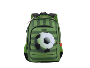 Ghiozdan GH4620V DACO 41 cm - Școlari